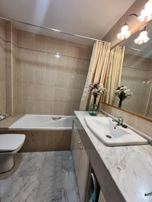Apartamento Enriqueta Lozano Granada Dış mekan fotoğraf